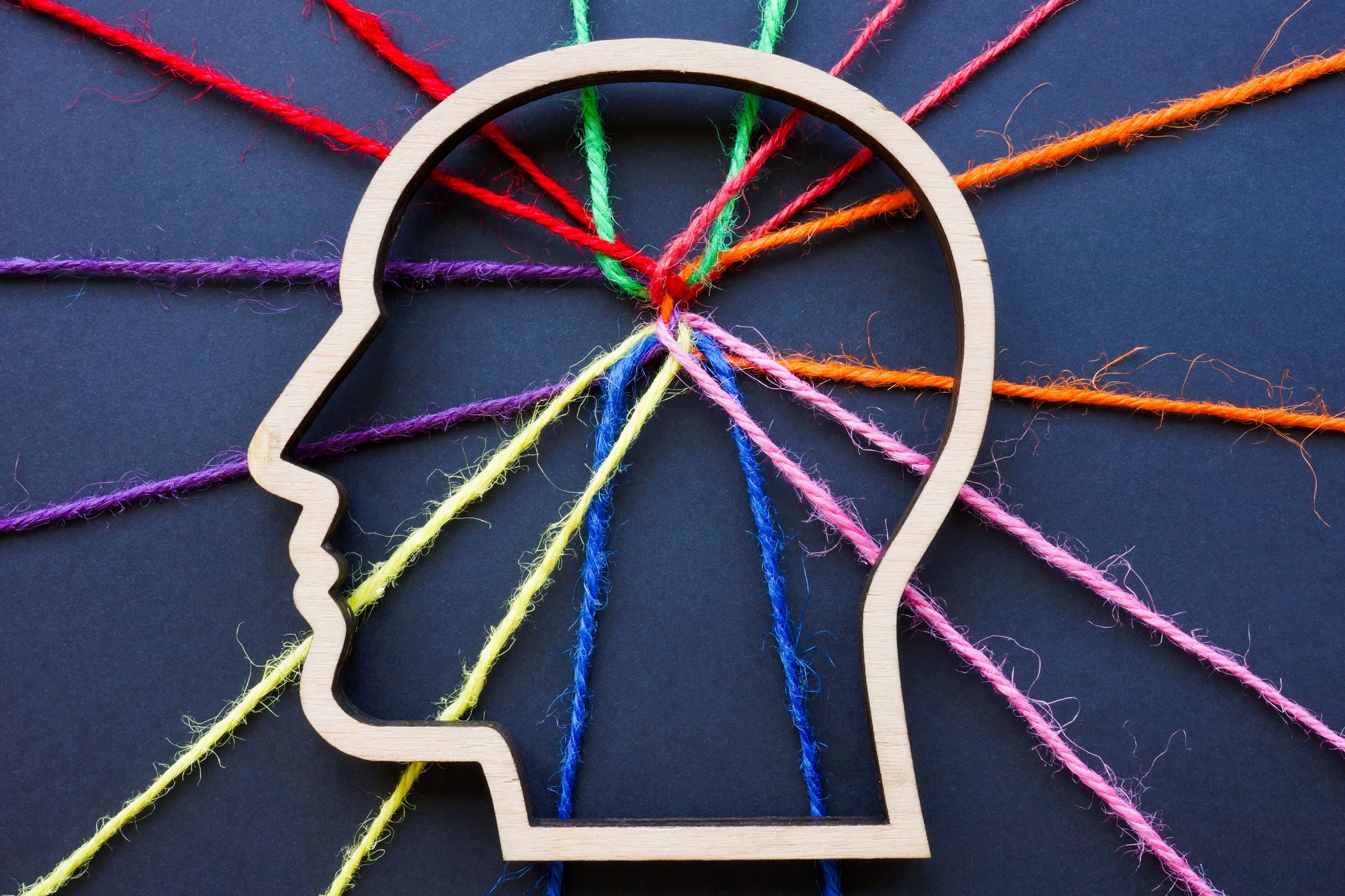 The outline of the head and connected colored threads symbolize neurodiversity, autism or creativity.